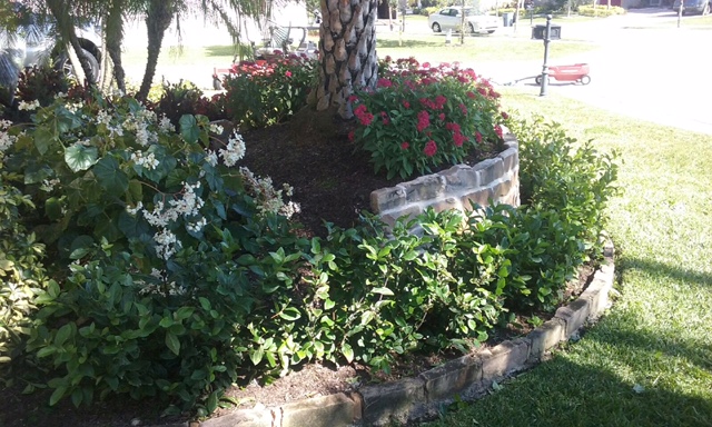 Landscaper in Fort Lauderdale Florida