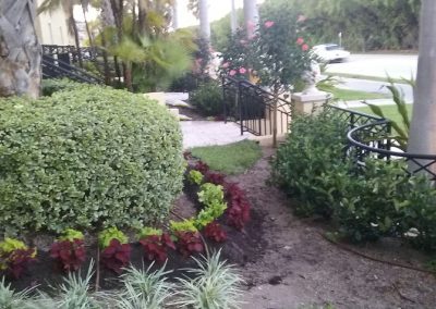 Landscapers