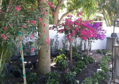 Fort Lauderdale Lawns