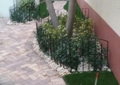 Fort Lauderdale Pruning