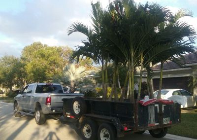 Fort Lauderdale Lawn Service