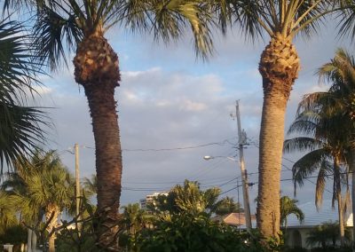 SGG Landscaping